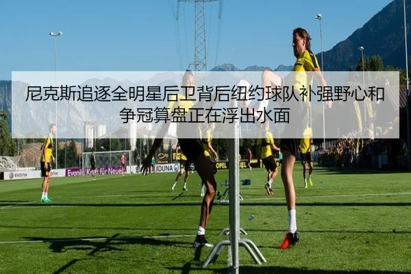 尼克斯追逐全明星后卫背后纽约球队补强野心和争冠算盘正在浮出水面
